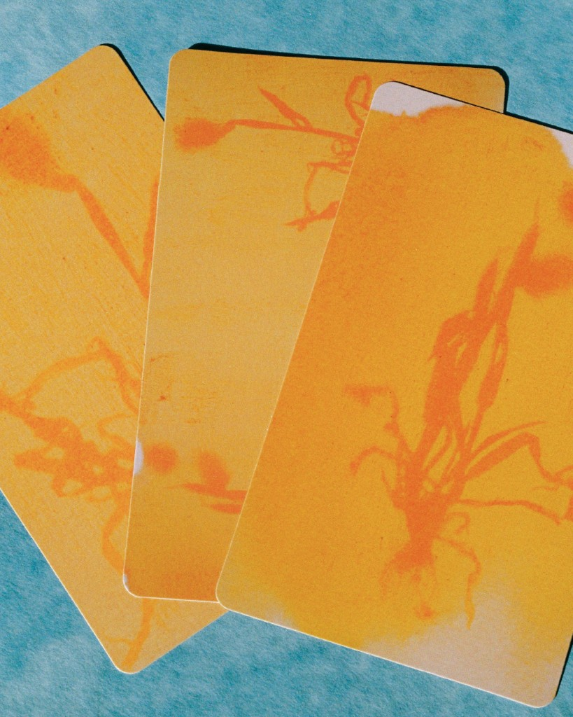 Affirmation Cards