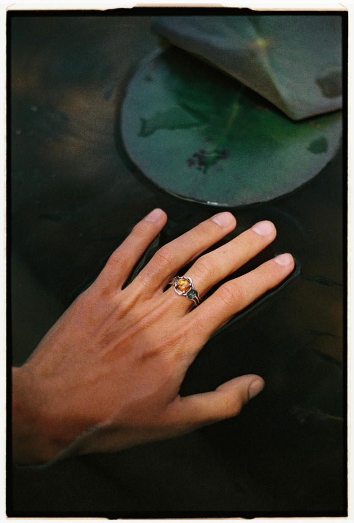 Grounding Ring